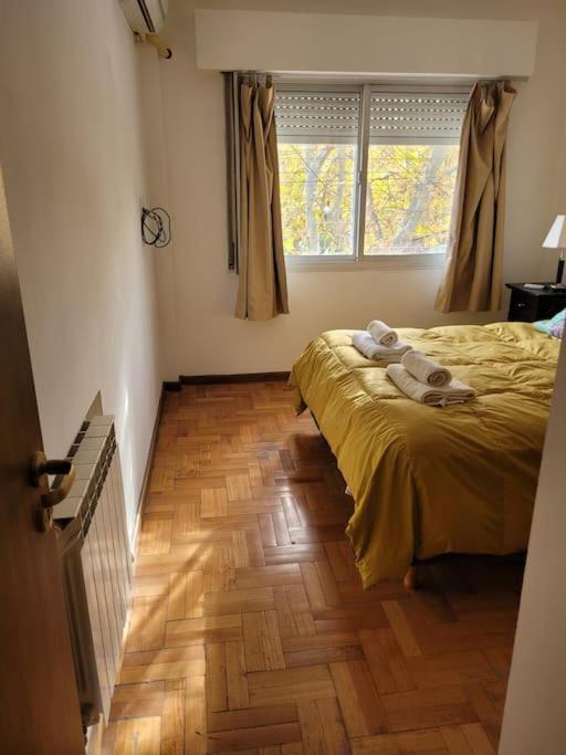 Hermoso Y Calido Departamento! * Mendoza